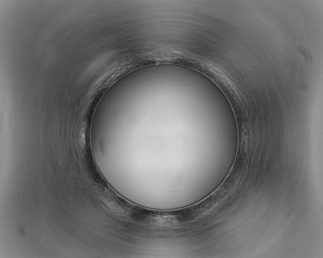 X0000112860501200908281607