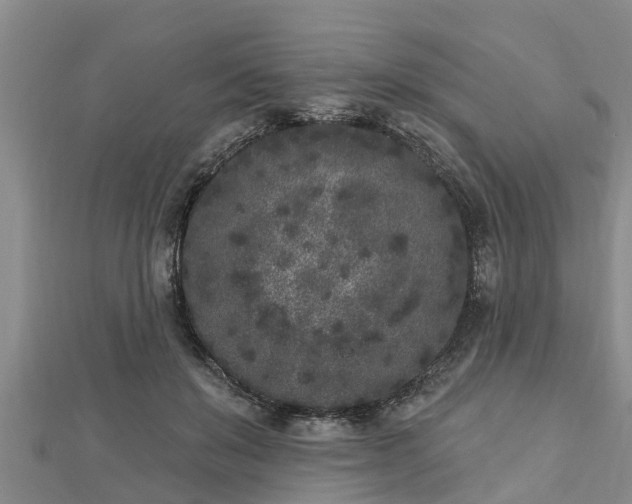 X0000112860503200908281607