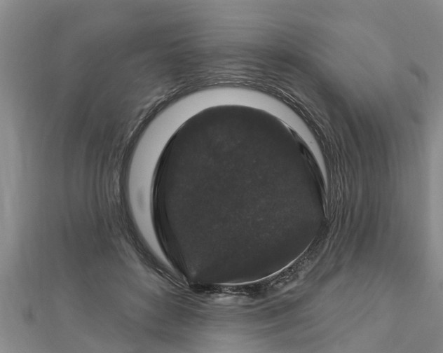 X0000112860504200908281607