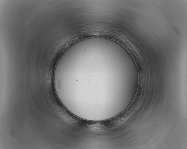 X0000112860505200908281607