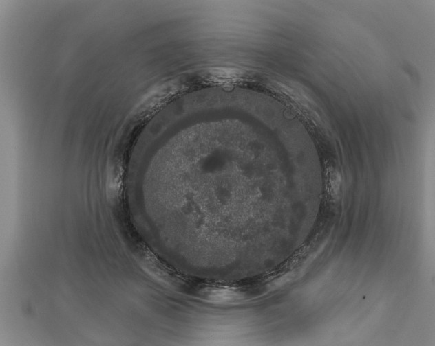 X0000112860507200908281607