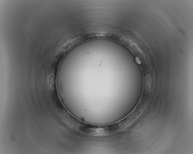 X0000112860509200908281607