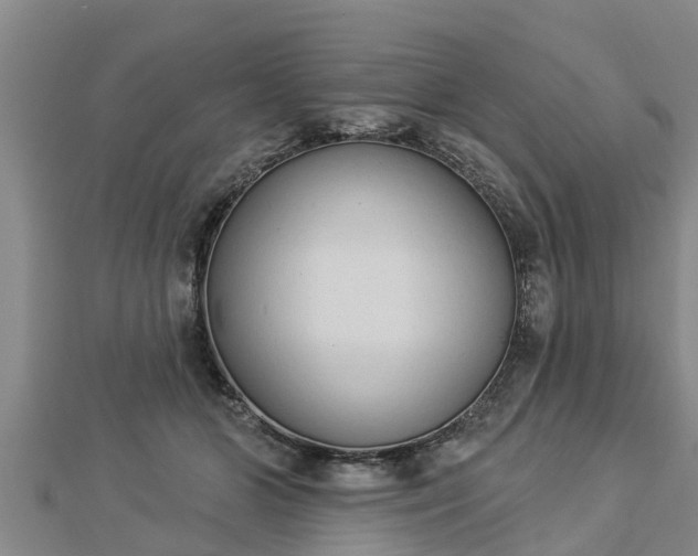X0000112860510200908281607