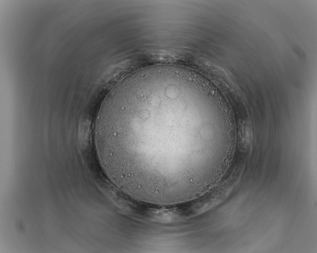 X0000112860511200908281607