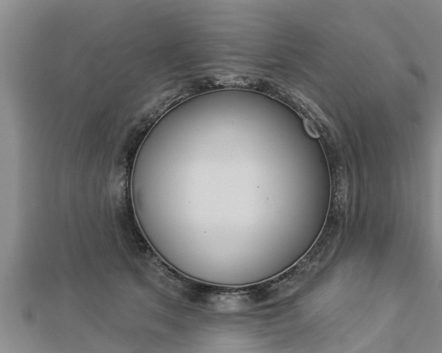 X0000112860513200908281607