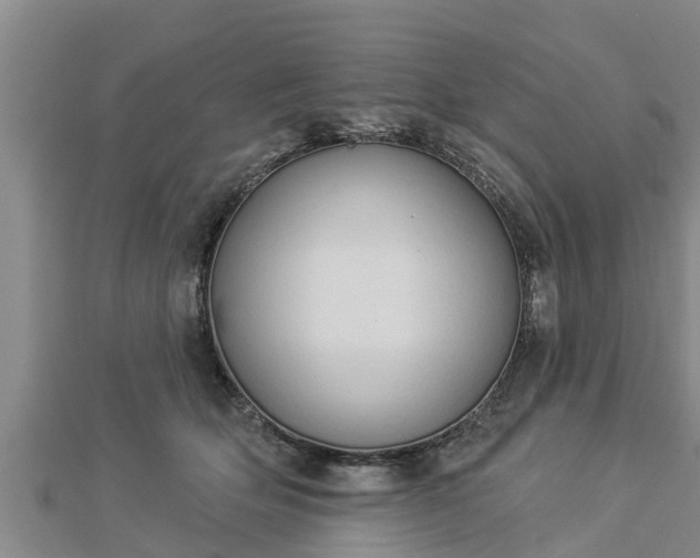 X0000112860514200908281607
