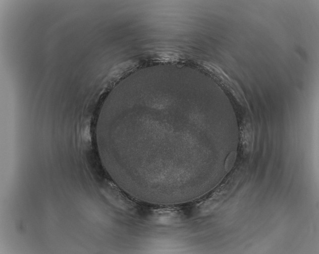 X0000112860516200908281607
