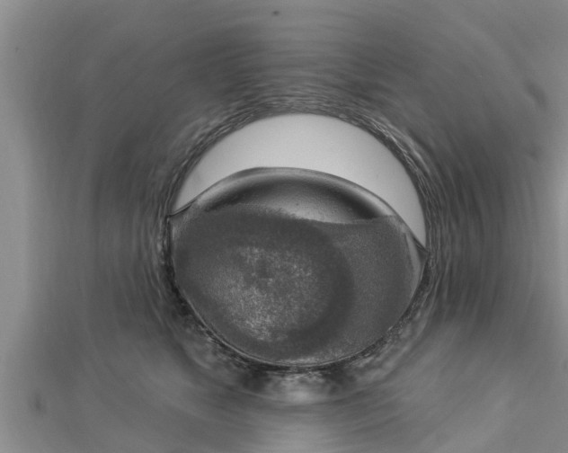 X0000112860517200908281607