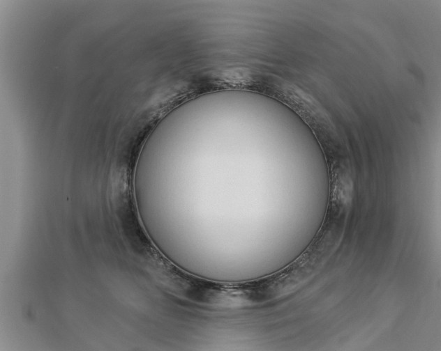 X0000112860518200908281607