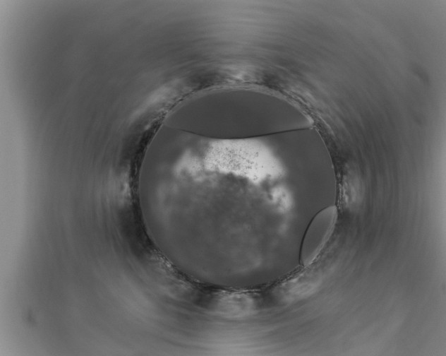 X0000112860520200908281607