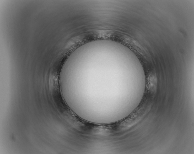 X0000112860522200908281607