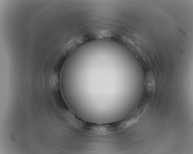 X0000112860523200908281606