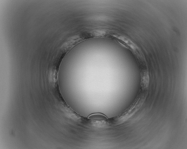 X0000112860525200908281606