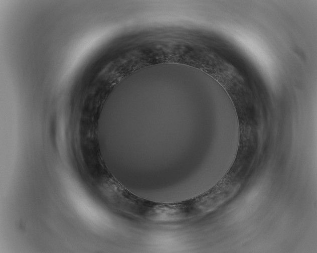 X0000112860526200908281606