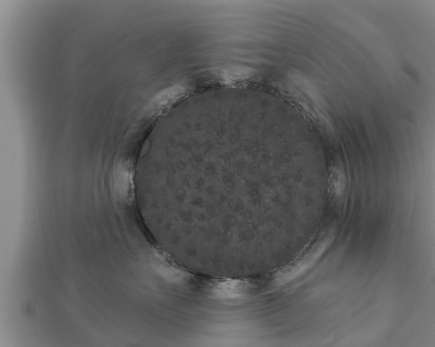 X0000112860527200908281606