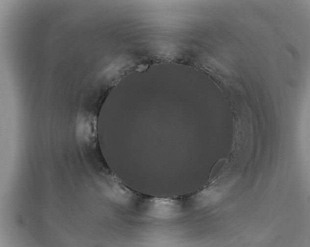 X0000112860528200908281606