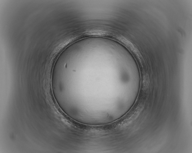 X0000112860529200908281606