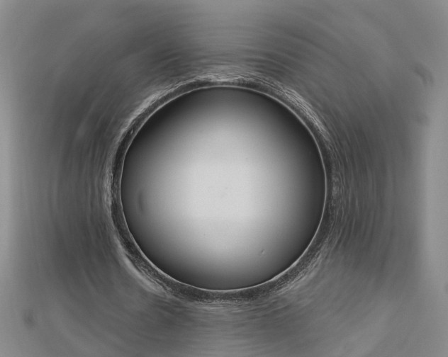 X0000112860530200908281606