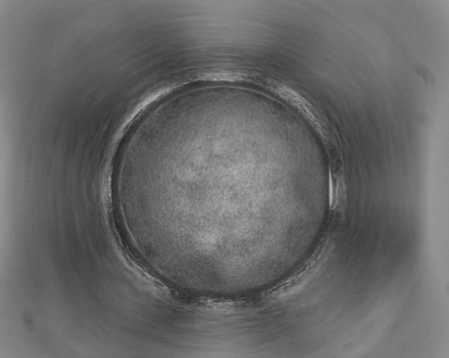 X0000112860531200908281606