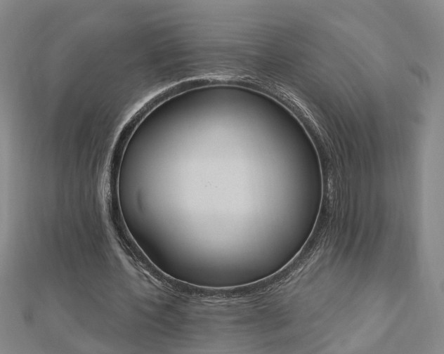 X0000112860532200908281606