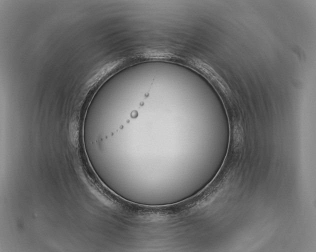 X0000112860533200908281606