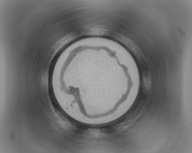 X0000112860534200908281606