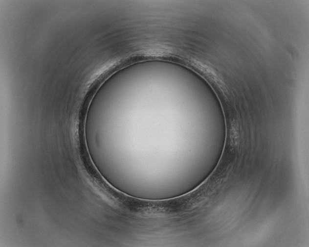 X0000112860535200908281606