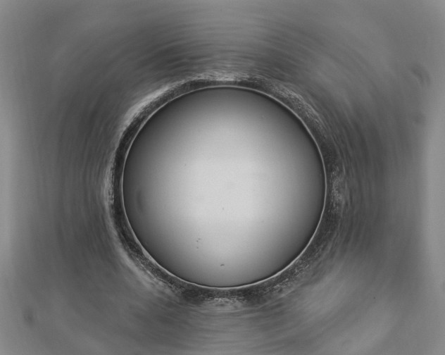 X0000112860536200908281606