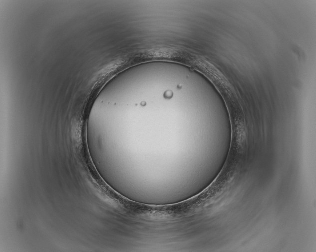 X0000112860537200908281606