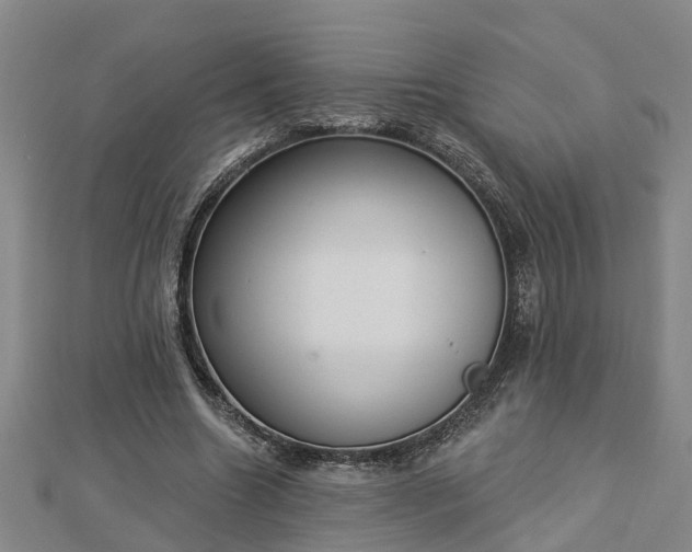 X0000112860538200908281606