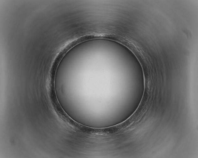 X0000112860540200908281606
