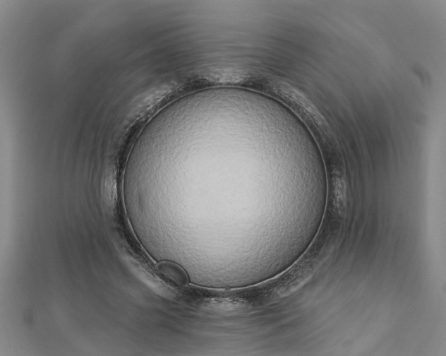 X0000112860541200908281606