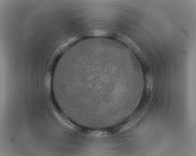 X0000112860542200908281606