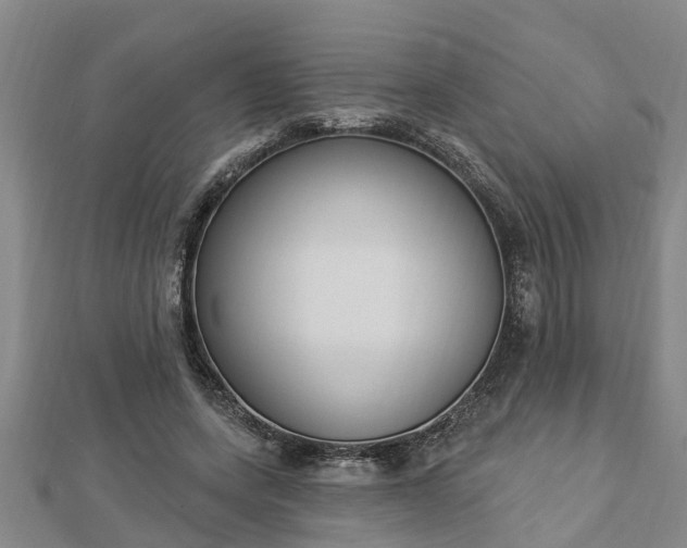 X0000112860543200908281606