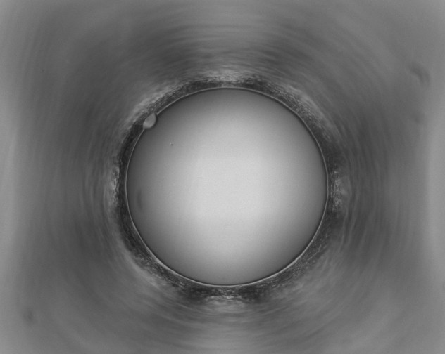 X0000112860544200908281606