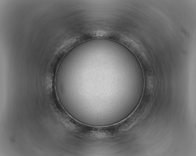 X0000112860545200908281606
