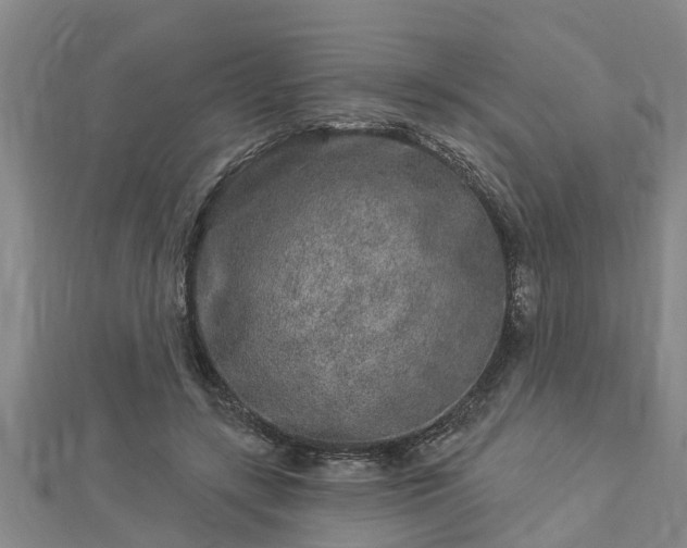 X0000112860547200908281606