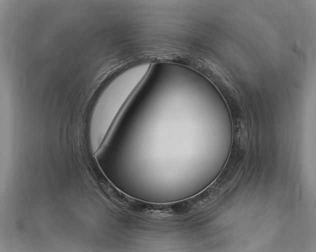 X0000112860548200908281606