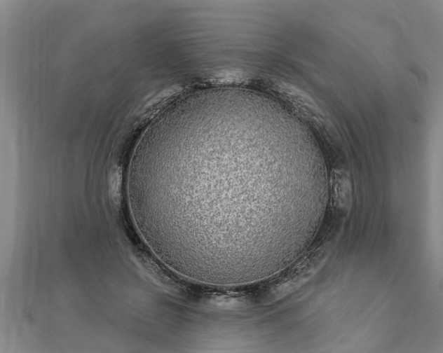 X0000112860550200908281606