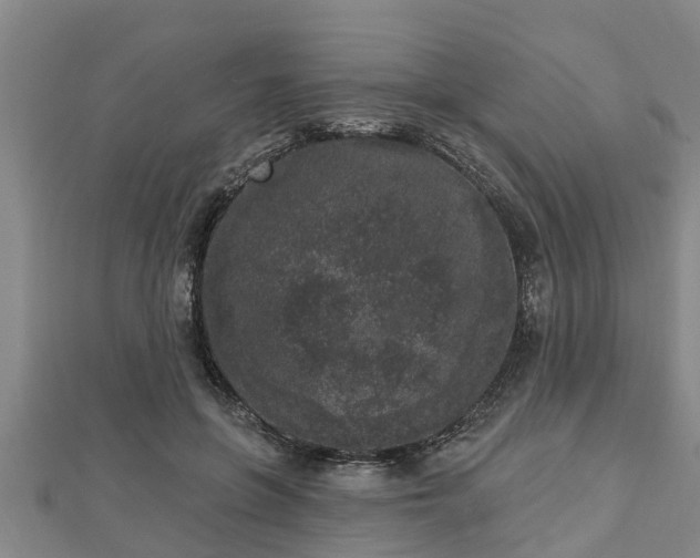 X0000112860551200908281606