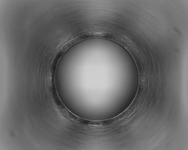 X0000112860552200908281606