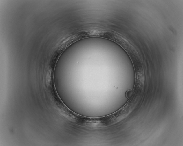 X0000112860554200908281606