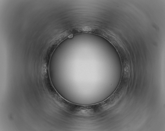 X0000112860555200908281606