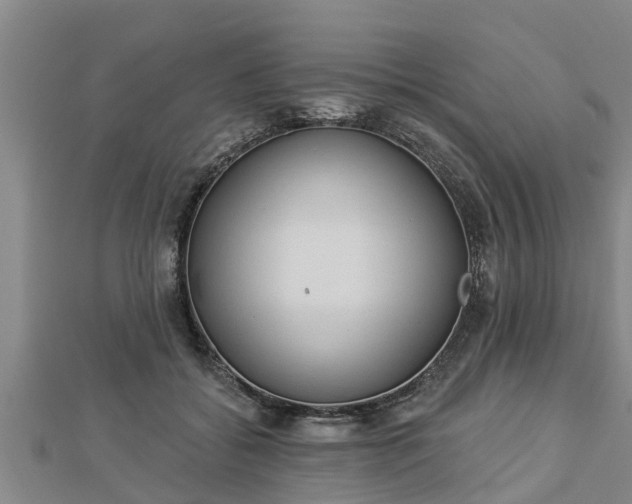 X0000112860556200908281606