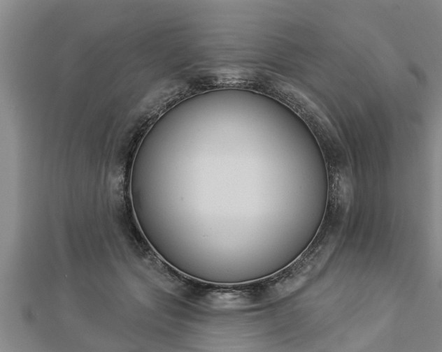 X0000112860557200908281606