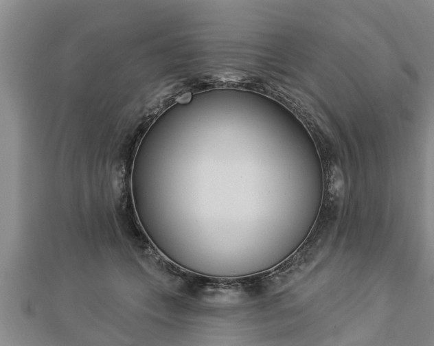 X0000112860559200908281606