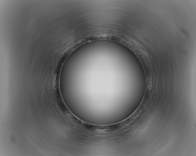 X0000112860560200908281606