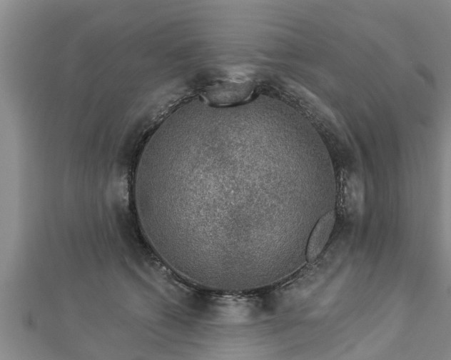 X0000112860562200908281606