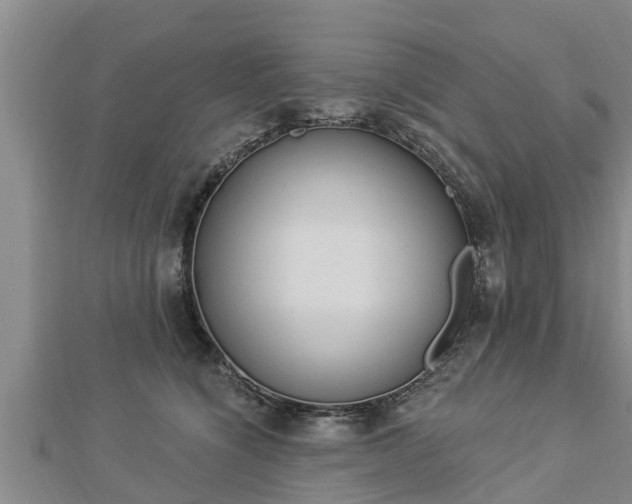 X0000112860564200908281606