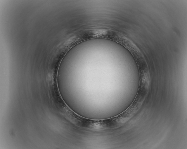 X0000112860565200908281606